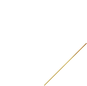 Lisa Osteen Comes